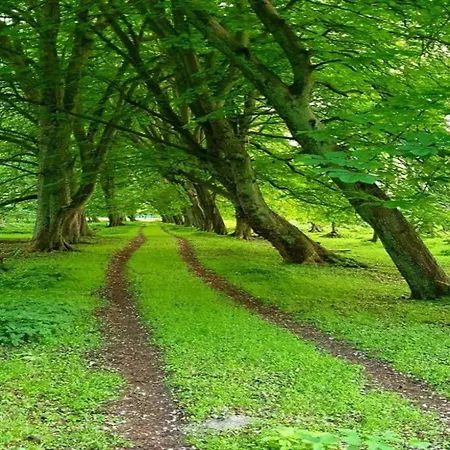 In Near The Lägenhet