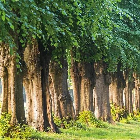 In In Strandnaehe Apartman Pepelow