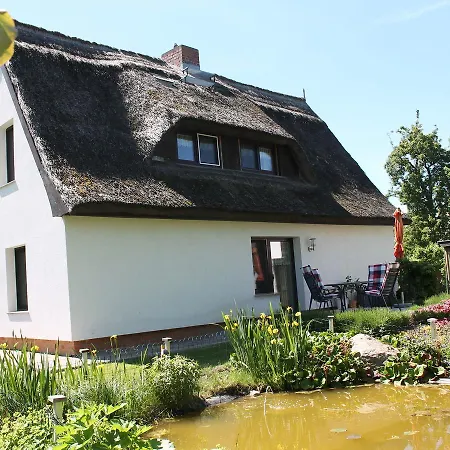 In Near The * Pepelow