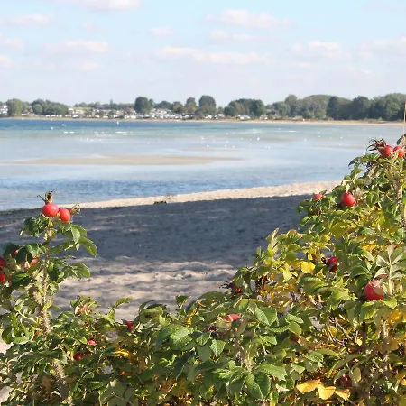 In In Strandnaehe *